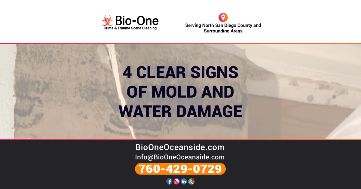 Bio-One of Oceanside - 4 Clear Signs of Mold and Water Damage