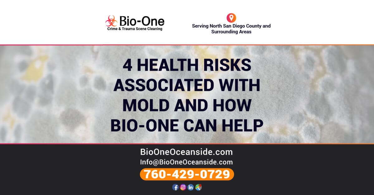 4 Health Risks Associated With Mold and How Bio-One Can Help - Bio-One of Oceanside.