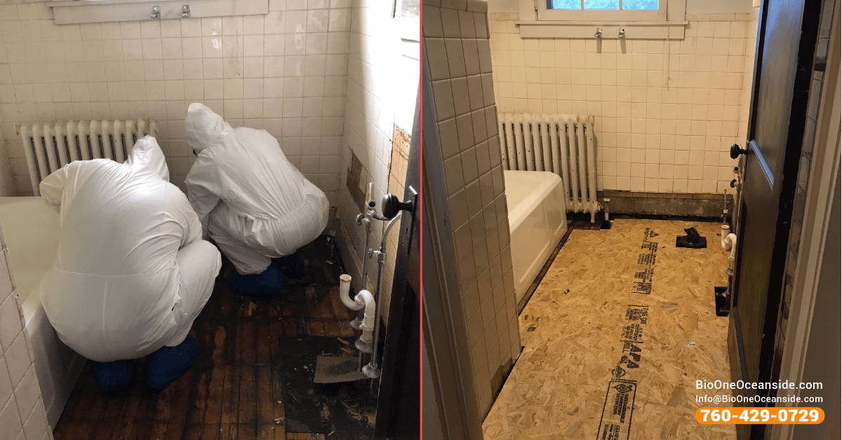 Mold damage restoration technicians at Bio-One of Oceanside.