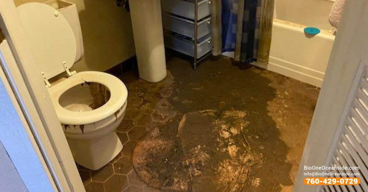 Bio-One of Oceanside is the sewage backup cleanup specialist in North San Diego County.