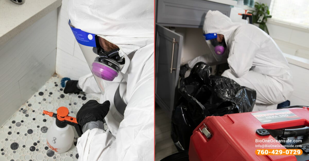 Mold remediation specialists at Bio-One of Oceanside.