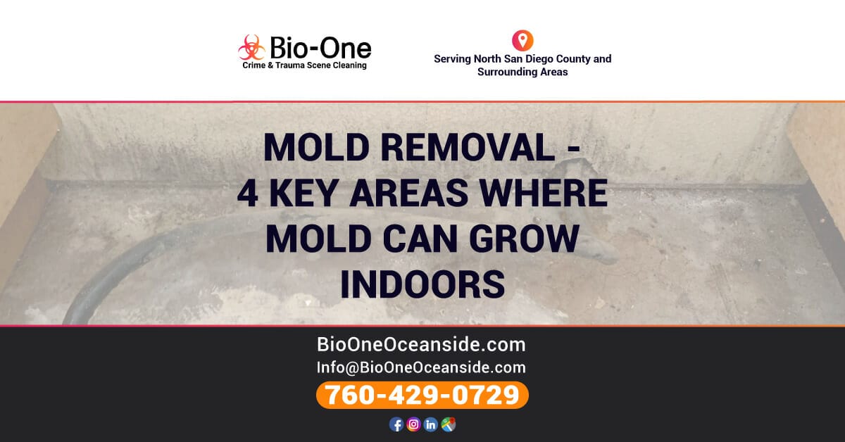 Mold Removal - 4 Key Areas Where Mold Can Grow Indoors - Bio-One of Oceanside.