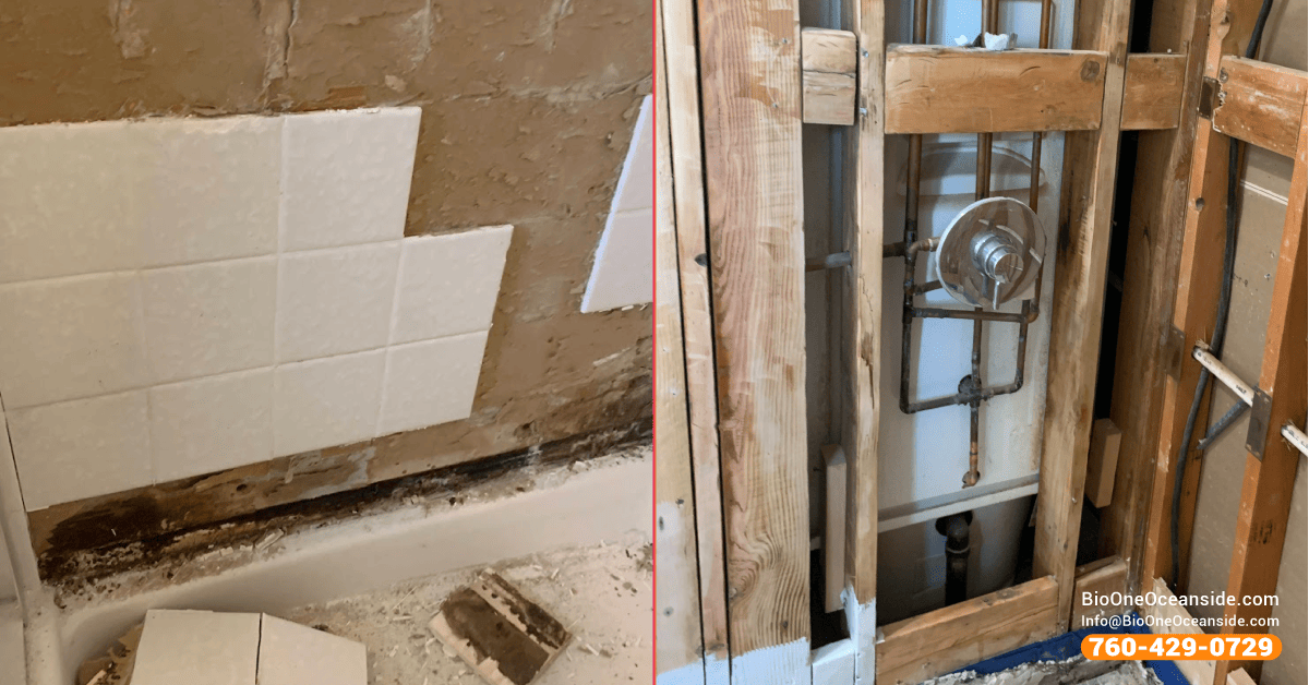 Mold cleanup and remediation - Before and after. Bio-One of Oceanside.