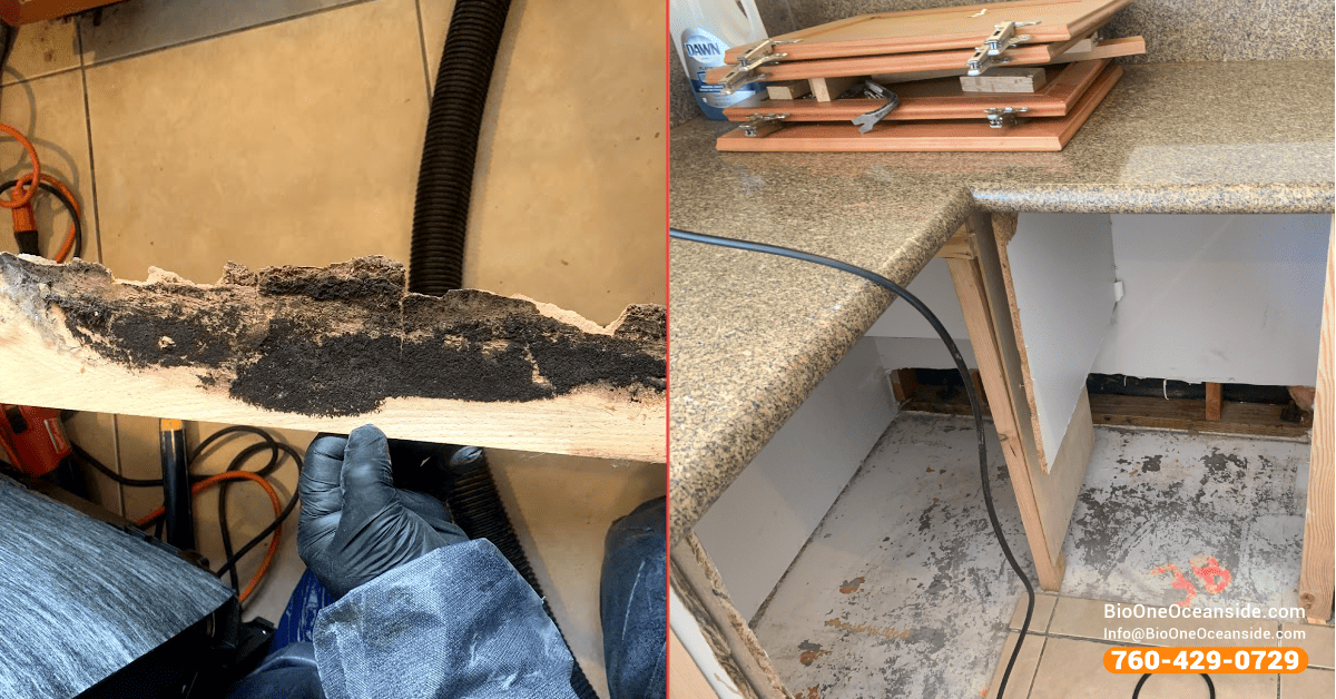 Mold remediation specialists before and after. Bio-One of Oceanside.