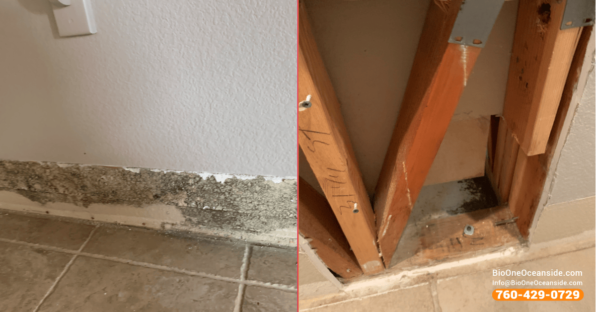 Mold infestation before and after with Bio-One of Oceanside.