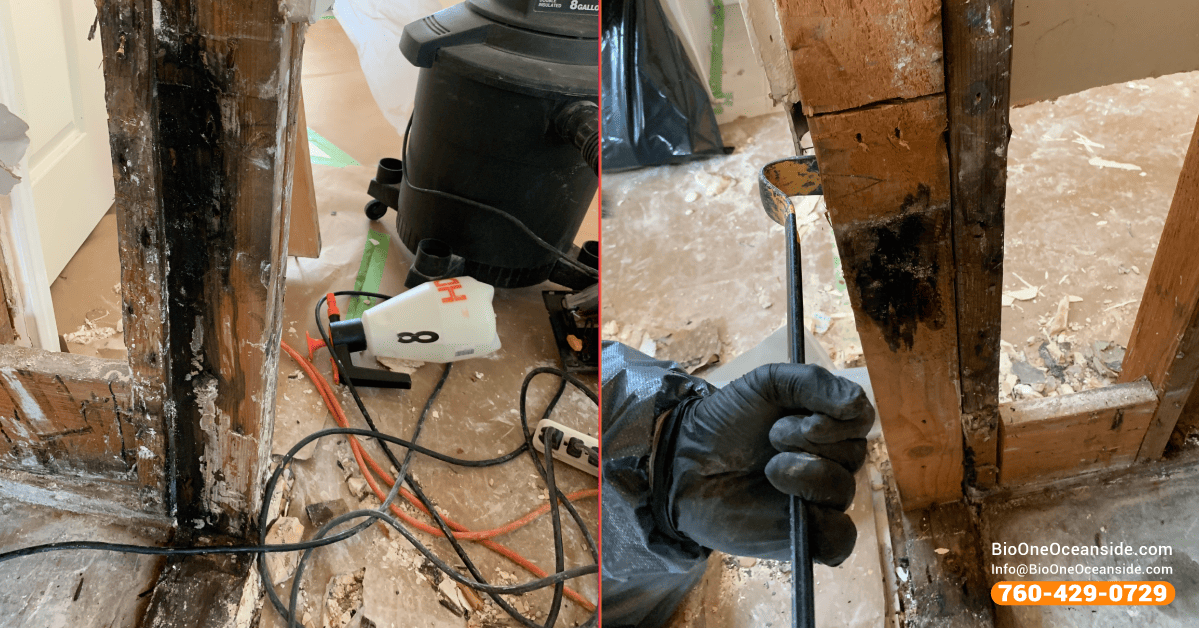 Examples of mold damage in bathroom.