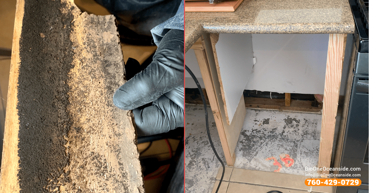 Mold damage inside kitchen cabinets and structure.