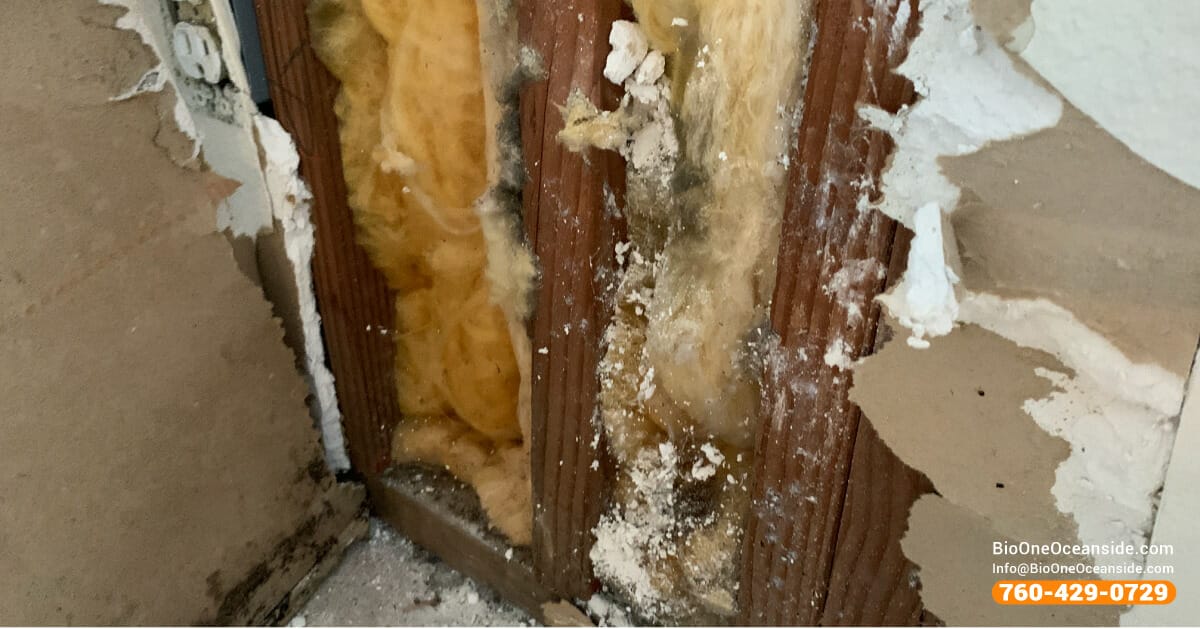 water damage repair with bio one oceanside before scenario