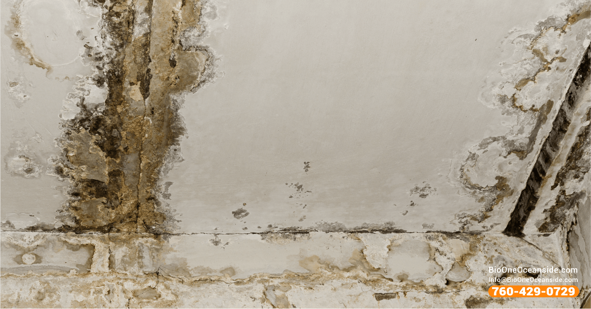 mold damage on ceiling and walls reference