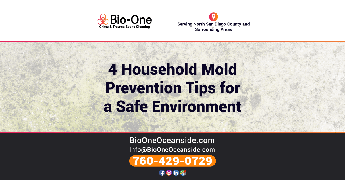 4 Household Mold Prevention Tips for a Safe Environment