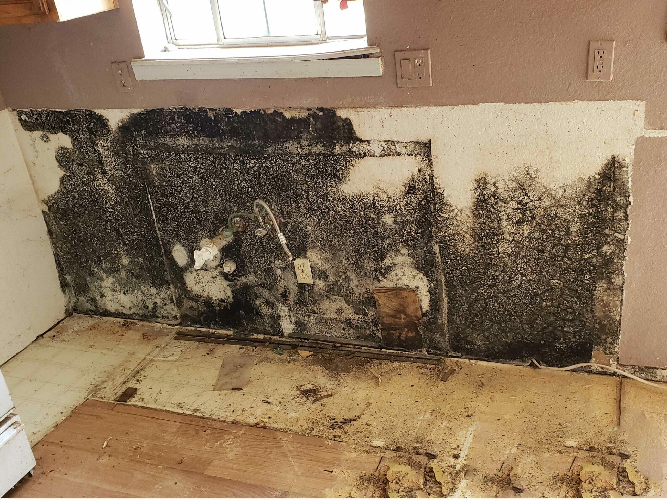 mold damage on bathroom wall