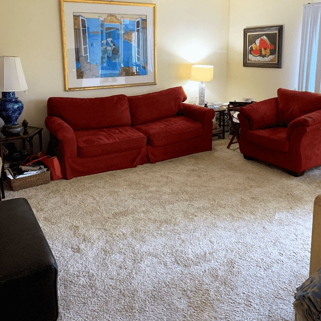 hoarded home after scenario