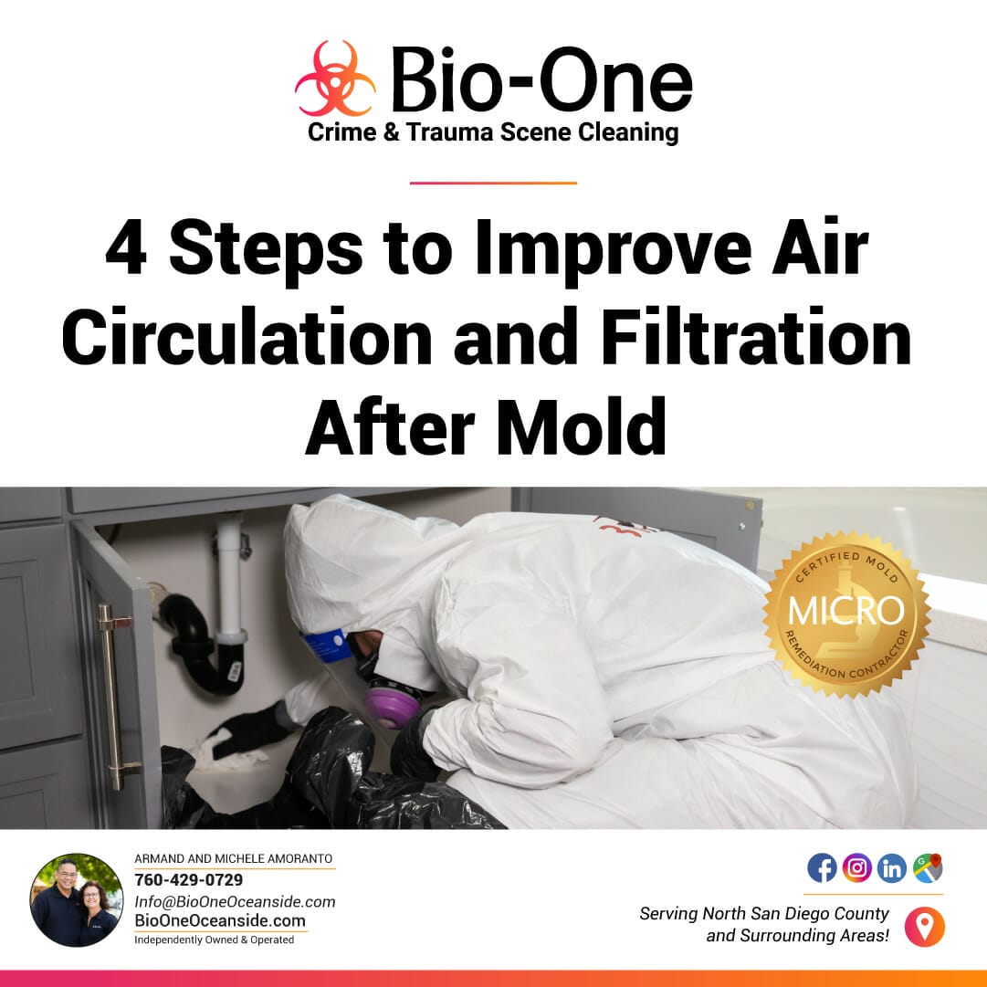 4 Steps to Improve Air Circulation and Filtration After Mold - Bio-One of Oceanside