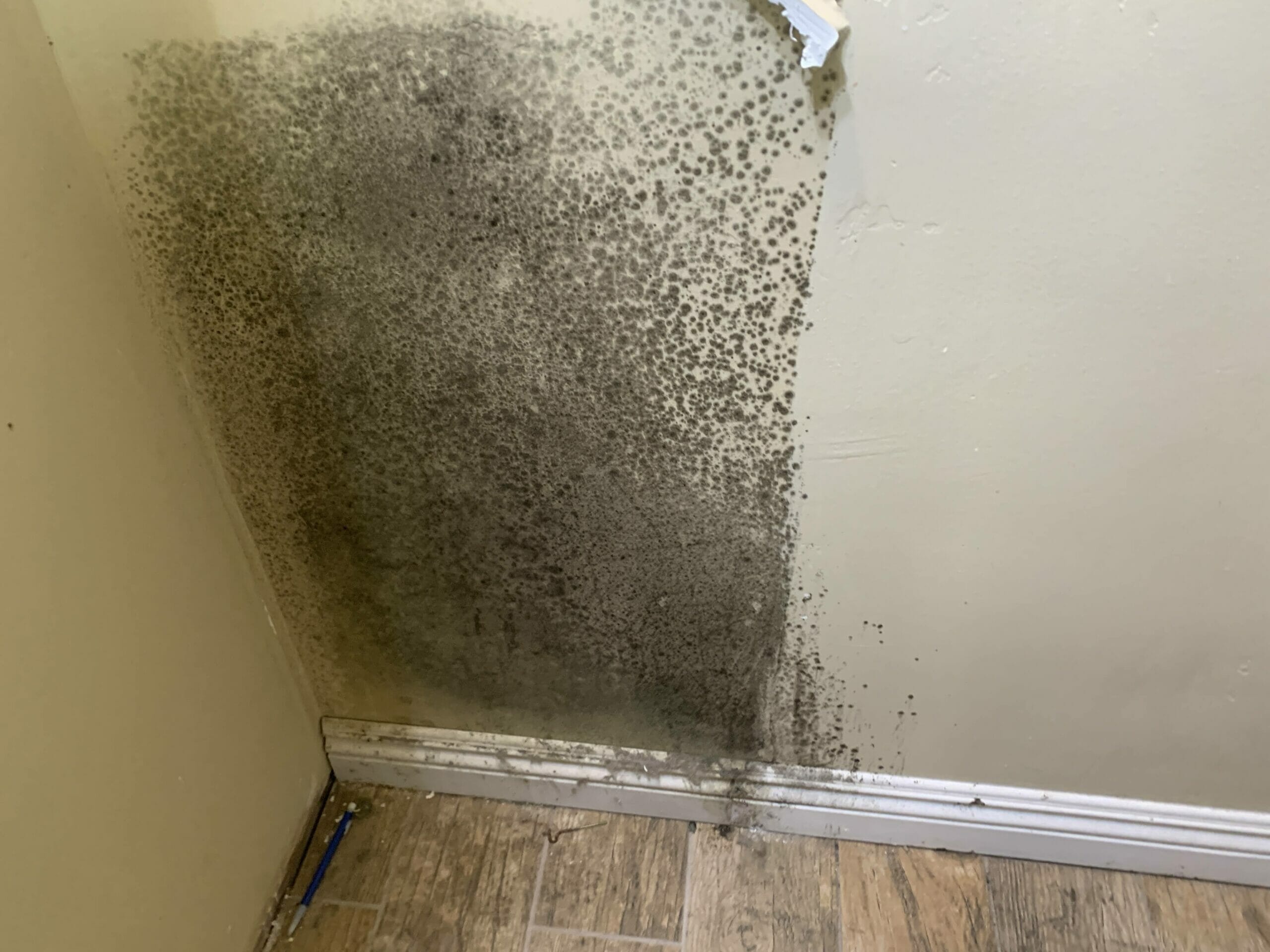 mold damage behind bathroom countertop