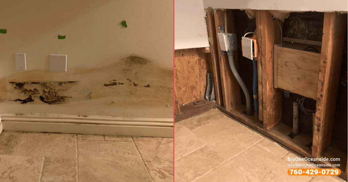 water damage and mold remediation before and after example bio one
