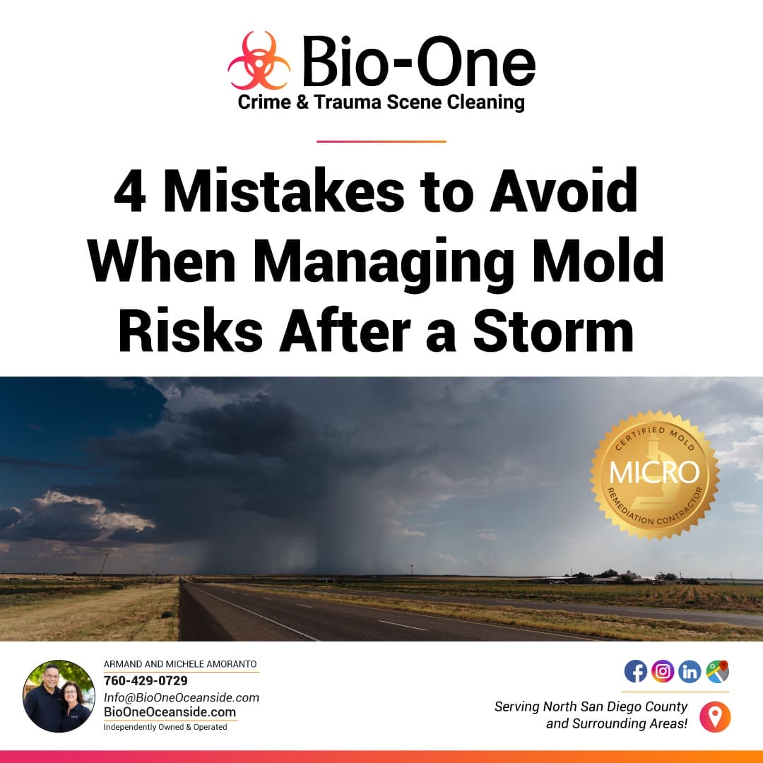 4 Mistakes to Avoid When Managing Mold Risks After a Storm - Bio-One of Oceanside