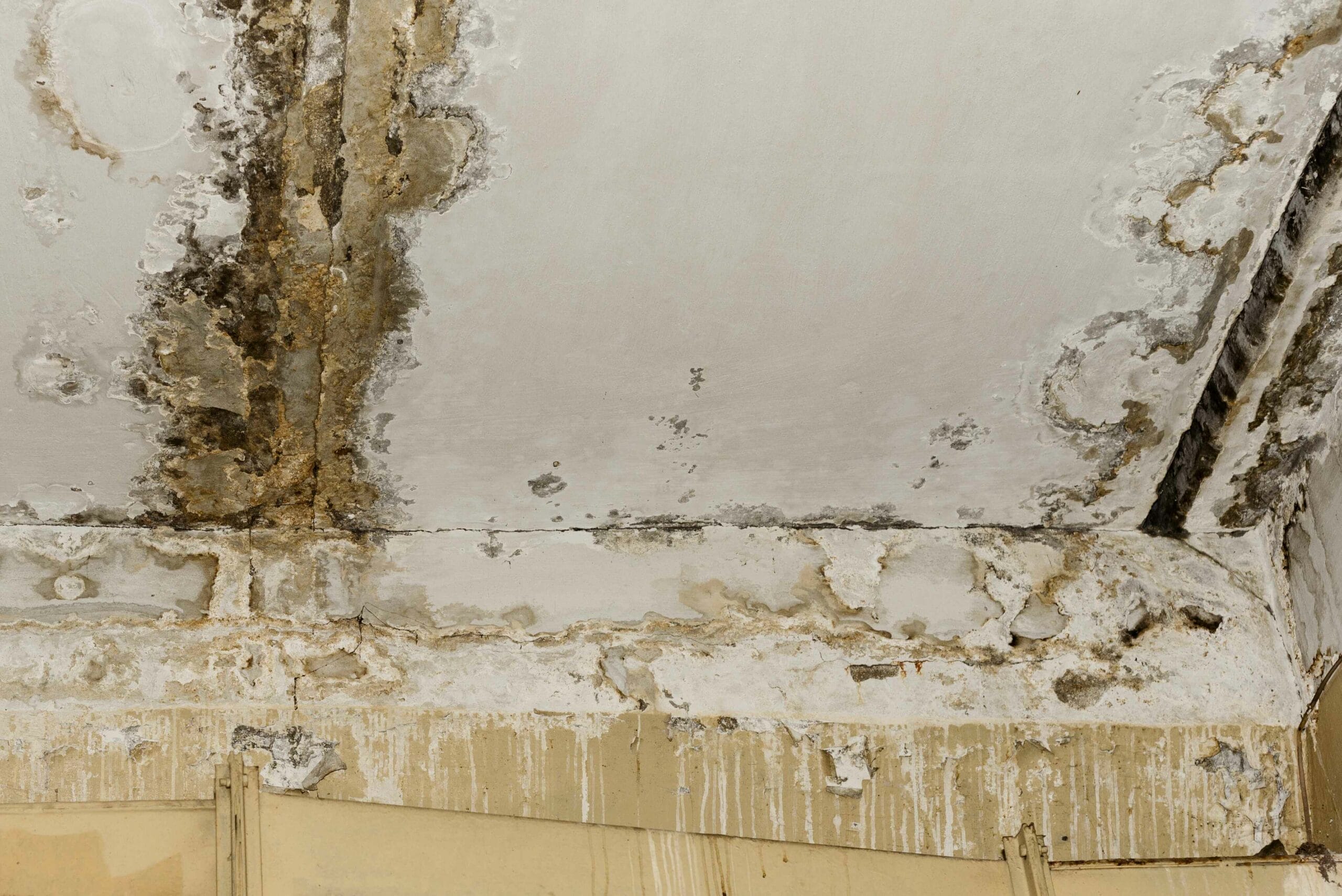 consequence of water damage example