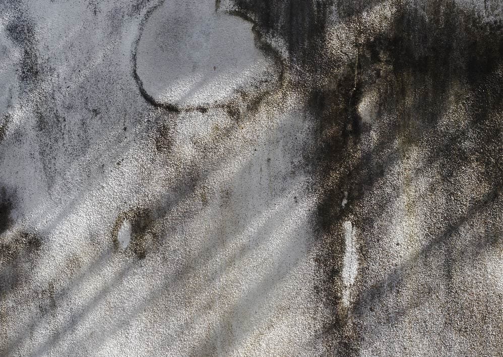 Mold growing in the wall.