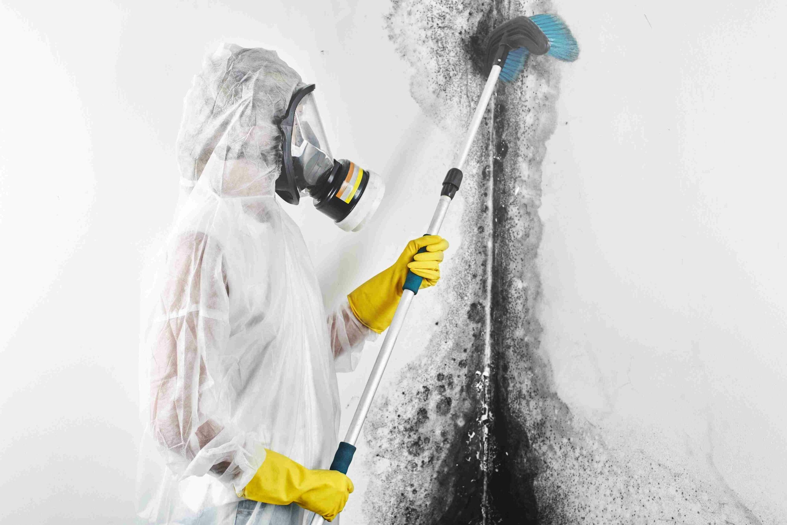 mold in your home - remediation technician cleaning wall and damp area