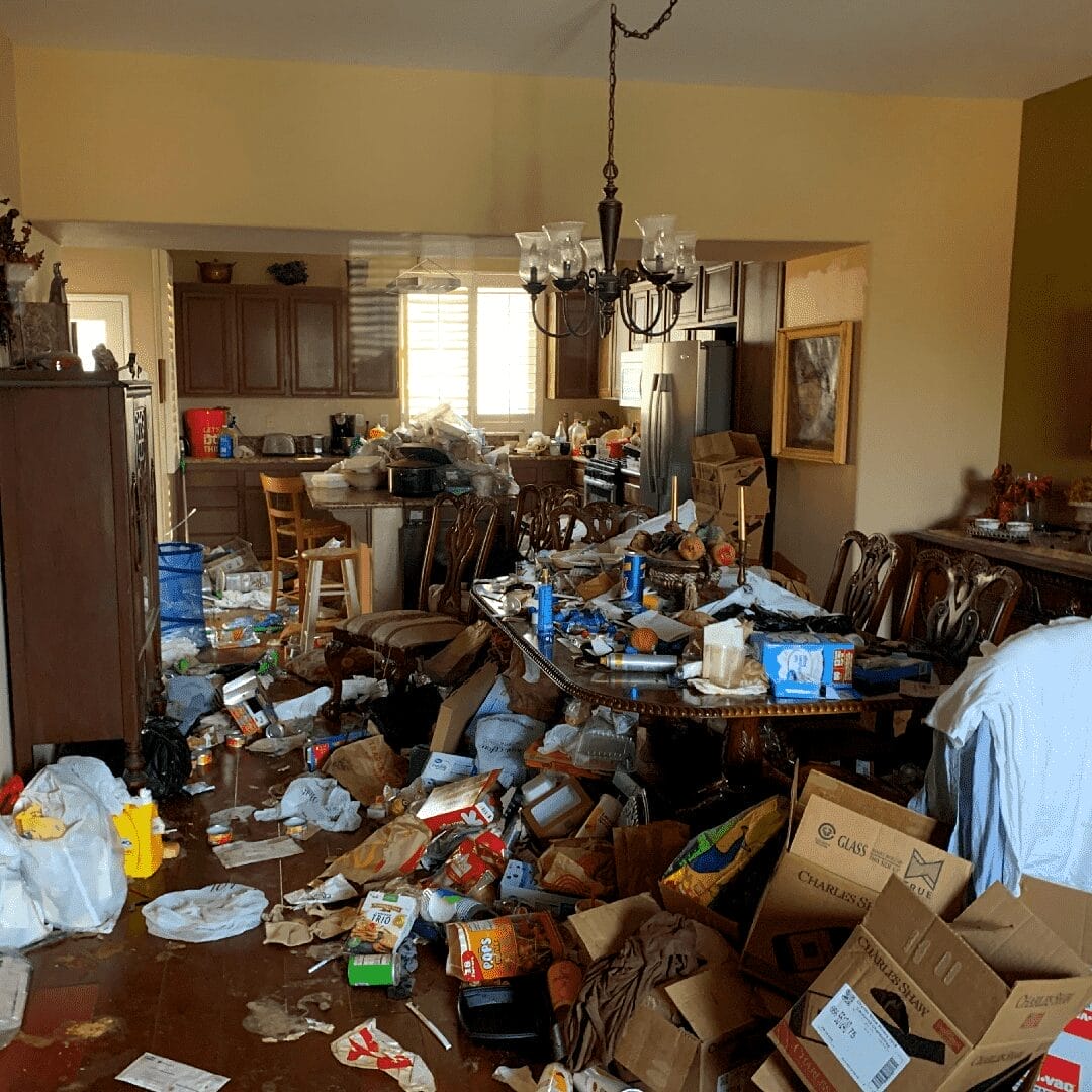 example of level 5 hoarding