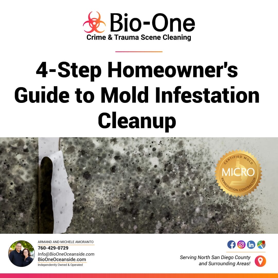 4-Step Homeowner's Guide to Mold Infestation Cleanup - Bio-One of Oceanside