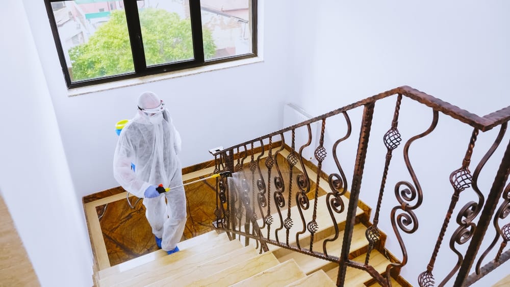 biohazard decontamination bio one team example