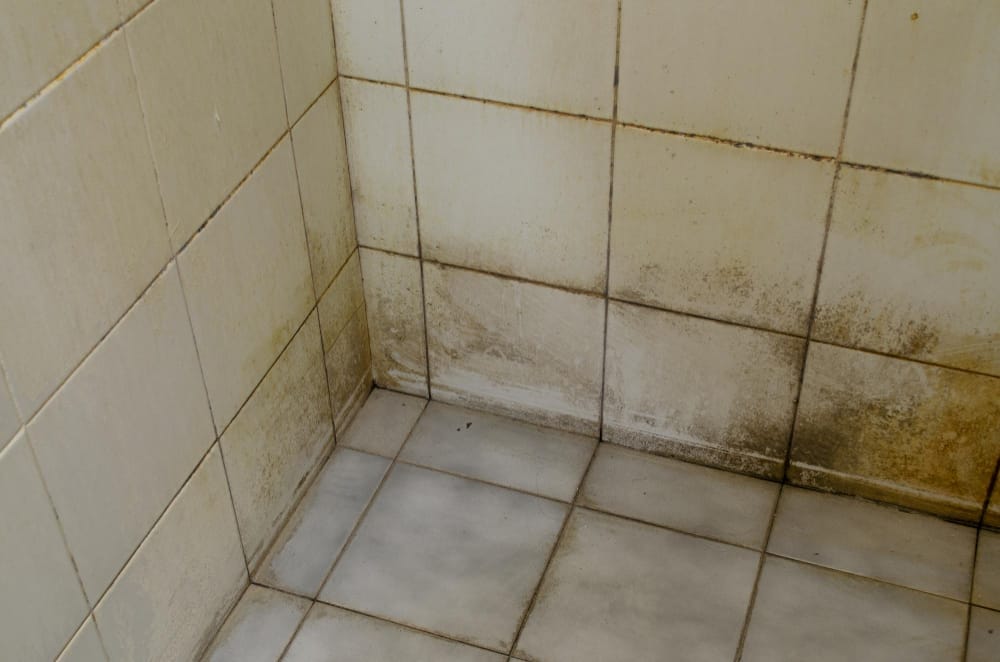 example of mold in bathroom