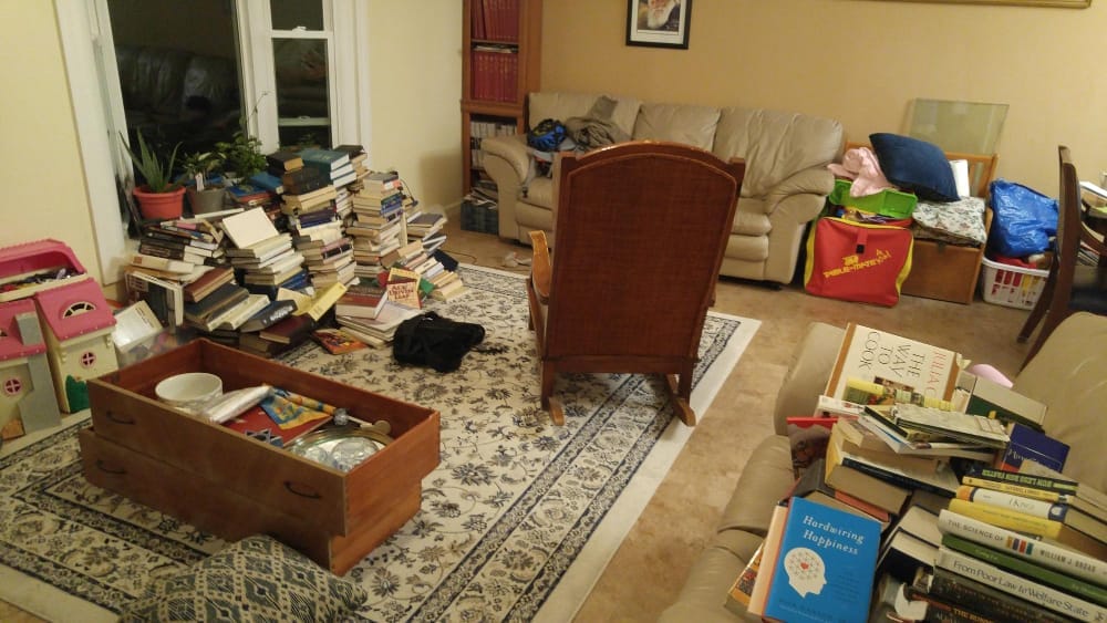 example of level 1 hoarding